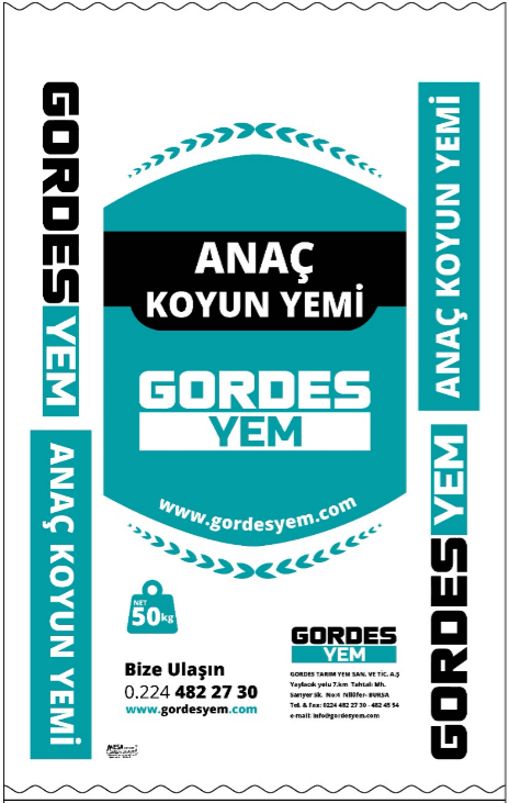 ANAÇ KOYUN SÜT YEMİ